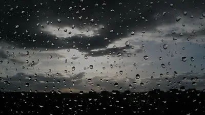 Las tardes y noches de lluvia son ideales para dormir Las tardes y noches de lluvia son ideales para dormir