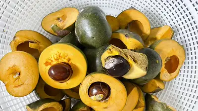 Lúcuma Lúcuma