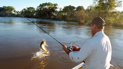 pesca pesca