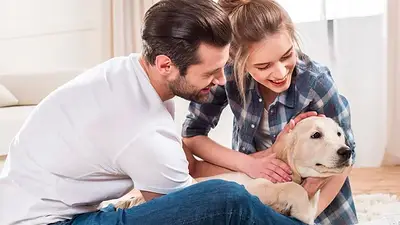 Perro Perro