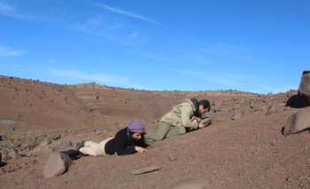 Cómo fue el hallazgo de los lagartos de hace 70 millones de años en Santa Cruz | Exactas y naturales