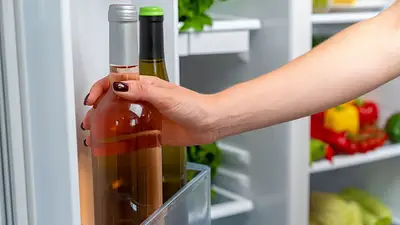vino en la heladera vino en la heladera