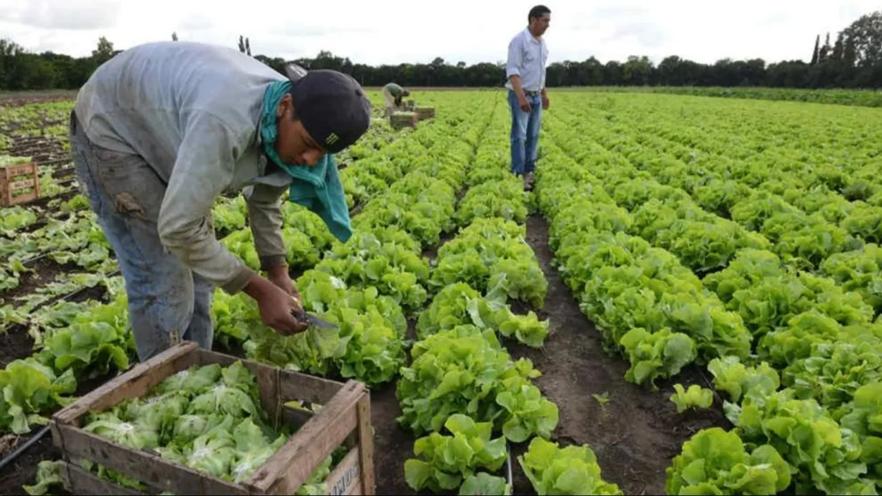 Paritarias trabajadores rurales
