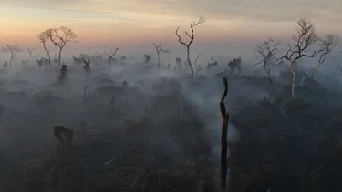 Los incendios en los humedales de Brasil alcanzan un récord en 2024