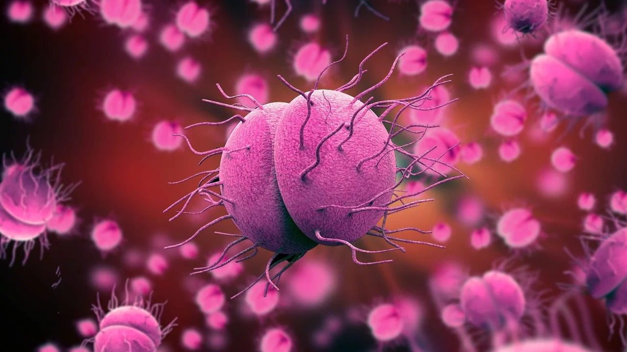 Según estudio de la UE, la gonorrea es cada vez más resistente a los antibióticos