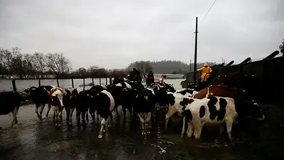 El sur de Chile sufre inundaciones y fuertes lluvias, y el Gobierno decreta catástrofe El sur de Chile sufre inundaciones y fuertes lluvias, y el Gobierno decreta catástrofe