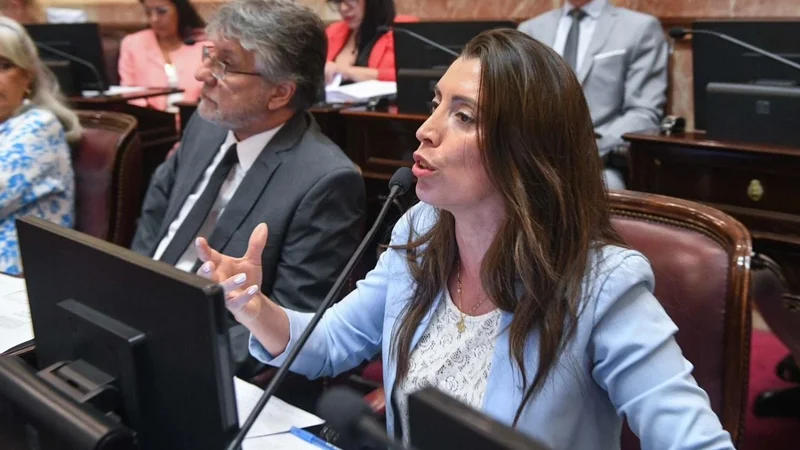 Senadora de Unión por la Patria rechazó los pliegos de Lijo y García-Mansilla: "Nulo de nulidad absoluta"
