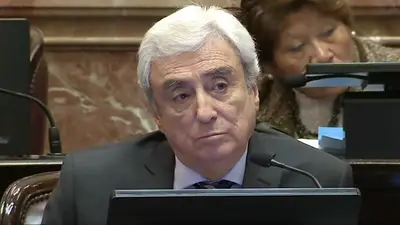 Un senador de la UCR y aliado de Pullaro apoyará la Ley Bases para seguir con "el camino de la austeridad" Un senador de la UCR y aliado de Pullaro apoyará la Ley Bases para seguir con "el camino de la austeridad"