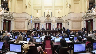 Sin congelamiento, todavía no hay consenso en el Senado para retrotraer el aumento