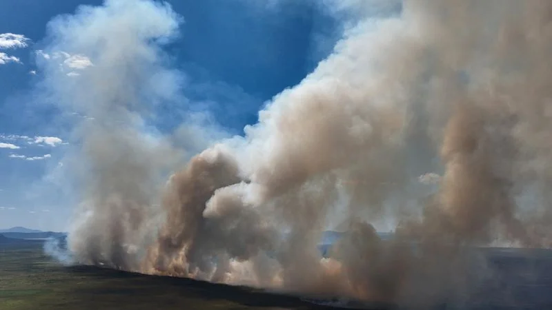 Humedales del Pantanal brasileño enfrentan los peores incendios