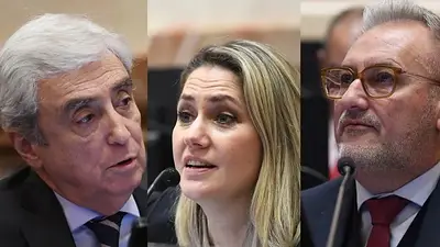 Se aprobó la Ley Bases en el Senado: qué dijeron y cómo votaron los senadores de Santa Fe Se aprobó la Ley Bases en el Senado: qué dijeron y cómo votaron los senadores de Santa Fe