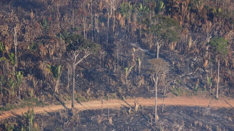 Presidente Lula exige una actuación más rápida contra el crimen organizado en la Amazonia