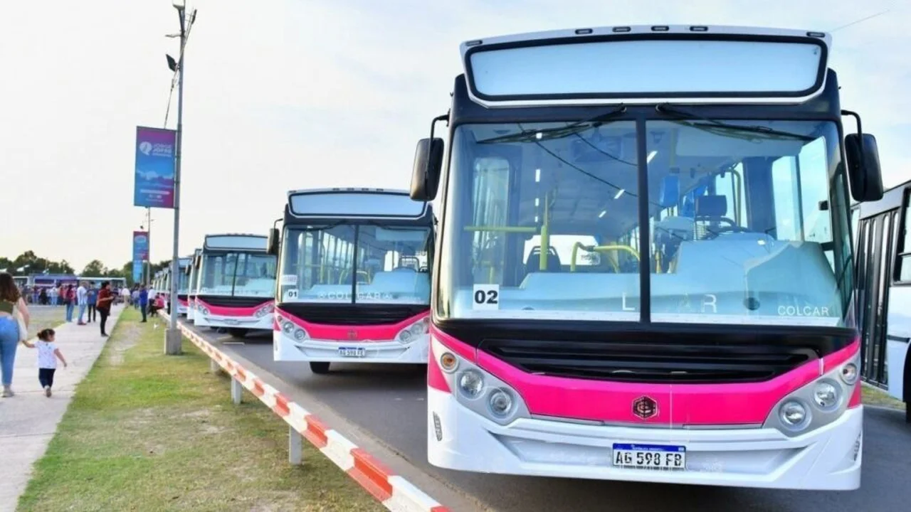 El Gobierno lanzó un nuevo servicio de colectivos, con boleto gratuito: cuál es el recorrido y a quiénes beneficia