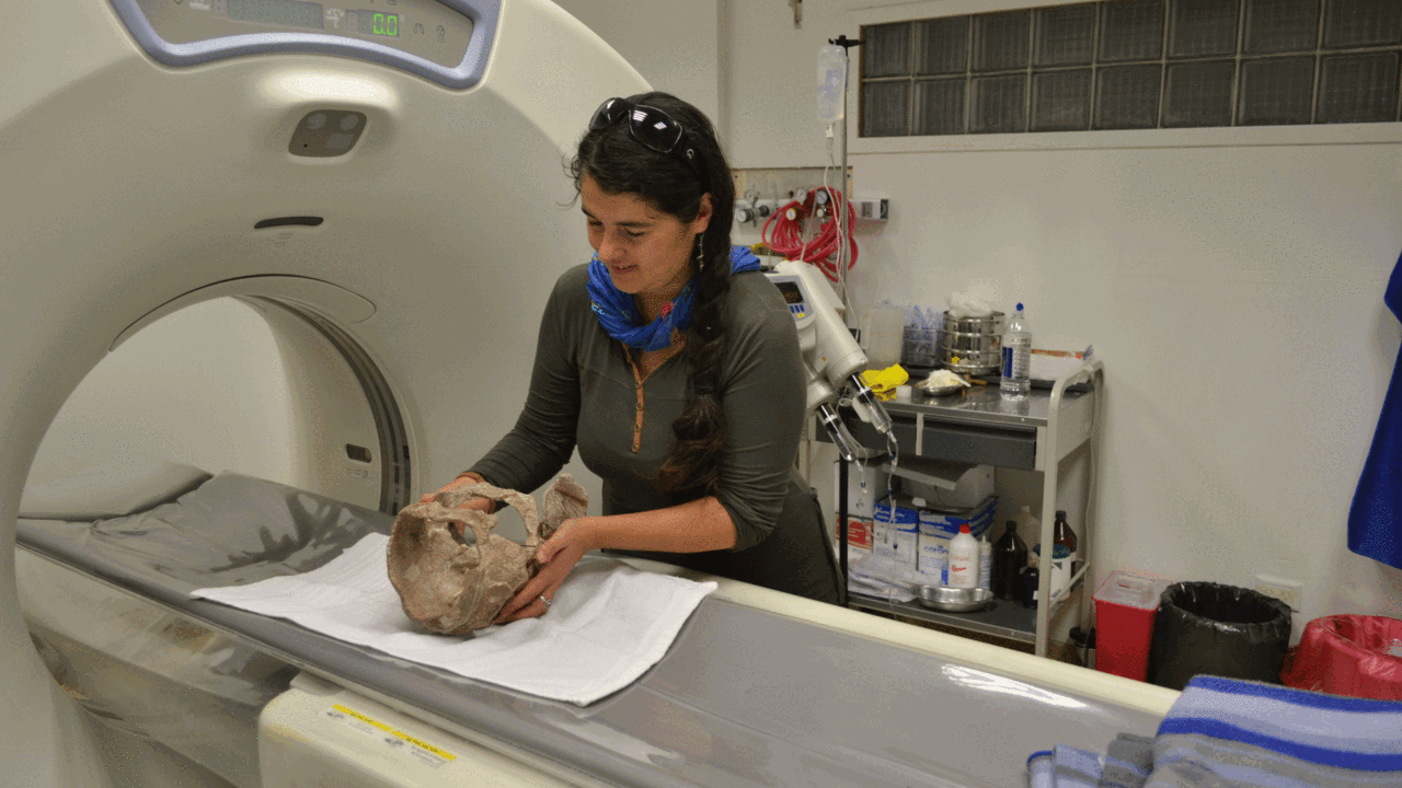 De fanatizarse con Jurassic Park a liderar el estudio del cerebro de los dinosaurios pionero en el mundo: la historia de Ariana, paleoneuróloga argentina