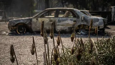 Los incendios forestales de Nuevo México dejan dos muertos y 500 viviendas destruidas Los incendios forestales de Nuevo México dejan dos muertos y 500 viviendas destruidas