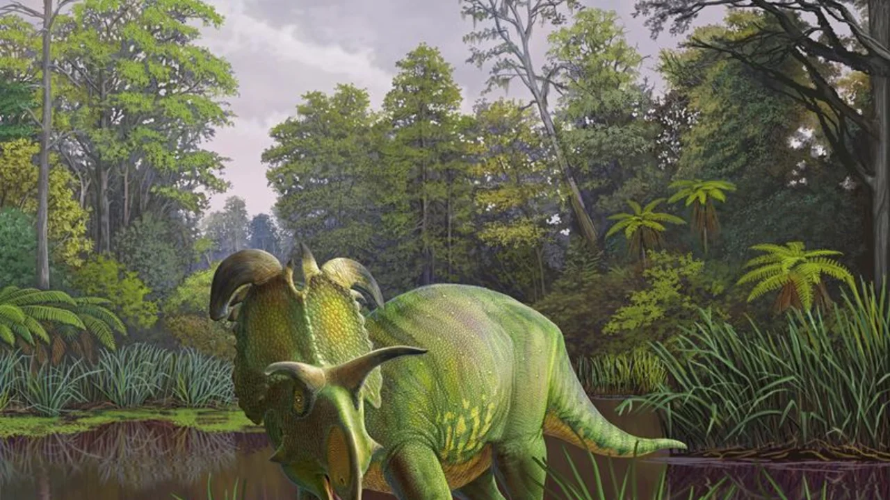 Un dinosaurio que vivía en Montana tenía cuernos como las espadas del dios nórdico Loki