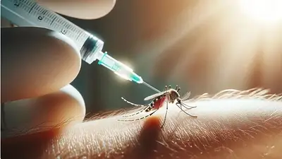 Dengue en Argentina: cuál es la provincia que en julio comienza la vacunación gratis Dengue en Argentina: cuál es la provincia que en julio comienza la vacunación gratis