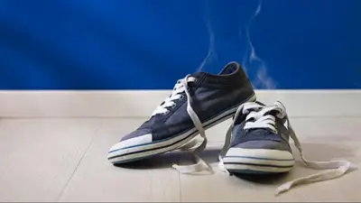 Zapatillas. Zapatillas.