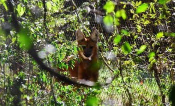 La Reserva Natural Guaycolec abre sus puertas a los turistas | Reserva natural