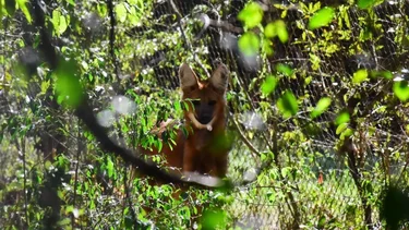 Escapada de invierno: la Reserva Natural Guaycolec abre sus puertas a los turistas