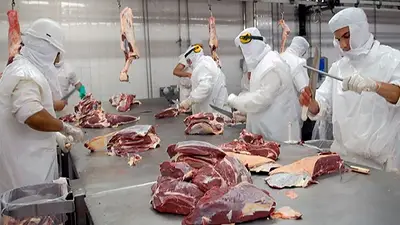 Carne. Carne.