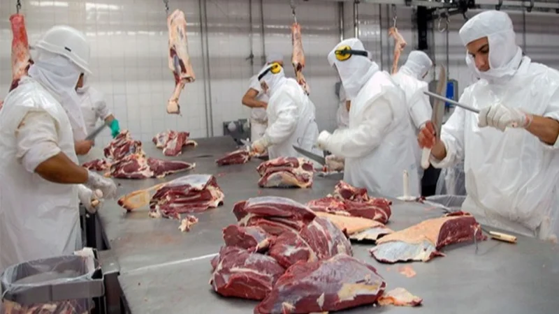 Carne.