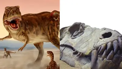 Furor por el descubrimiento de un nuevo Dinosaurio en Argentina: "Carnívoro depredador y ágil corredor" Furor por el descubrimiento de un nuevo Dinosaurio en Argentina: "Carnívoro depredador y ágil corredor"