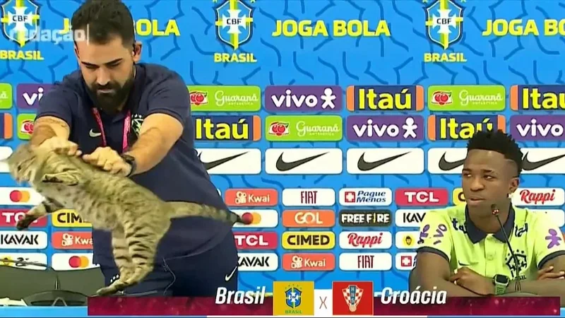Selección de Brasil, Copa América, gato, Dorival Junior, deportes