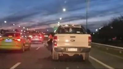Camioneta Camioneta