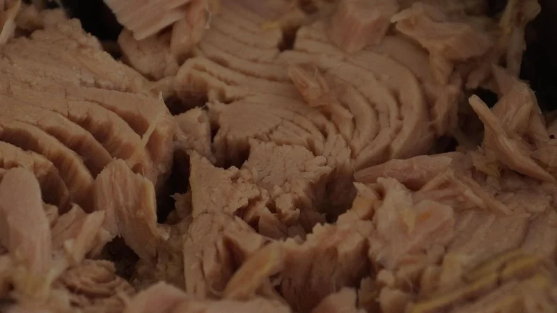 Atún desmenuzado o lomito