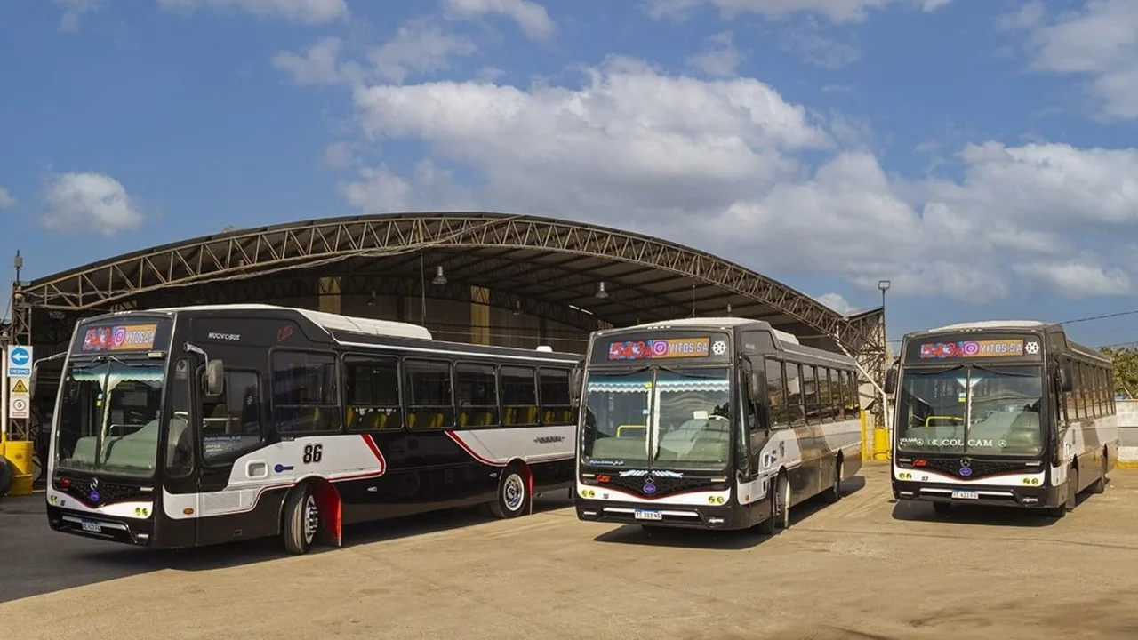 Tres colectivos estacionados