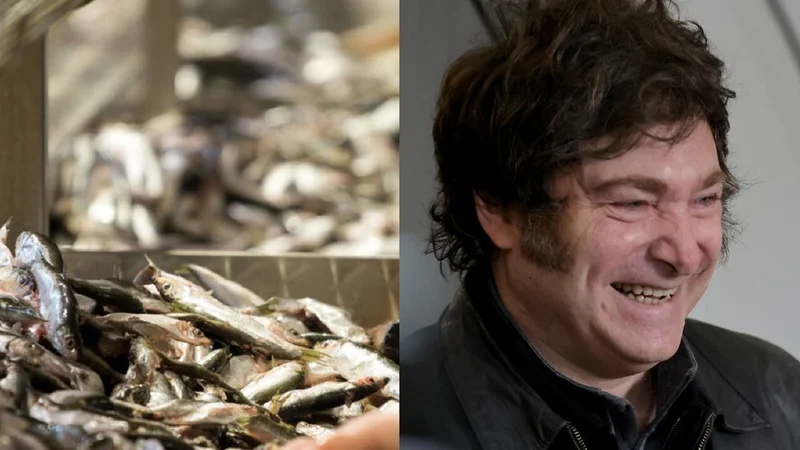 Pescados y Javier Milei