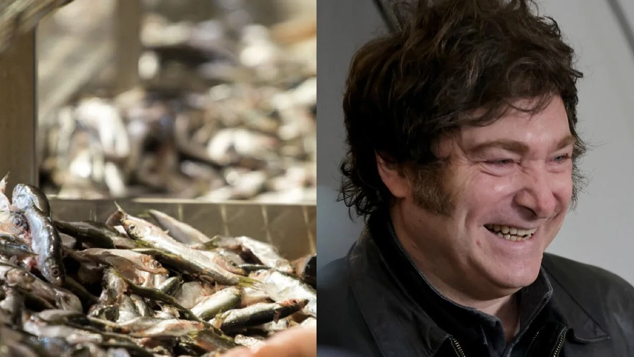Pescados y Javier Milei