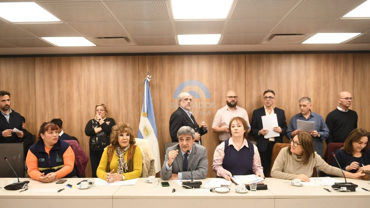 Por la situación del Garrahan, avanza la declaración de emergencia en Pedriatría