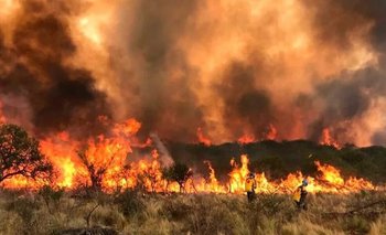 Incendios azotan Córdoba: Llaryora declaró el "estado de alerta ambiental"  | Incendios