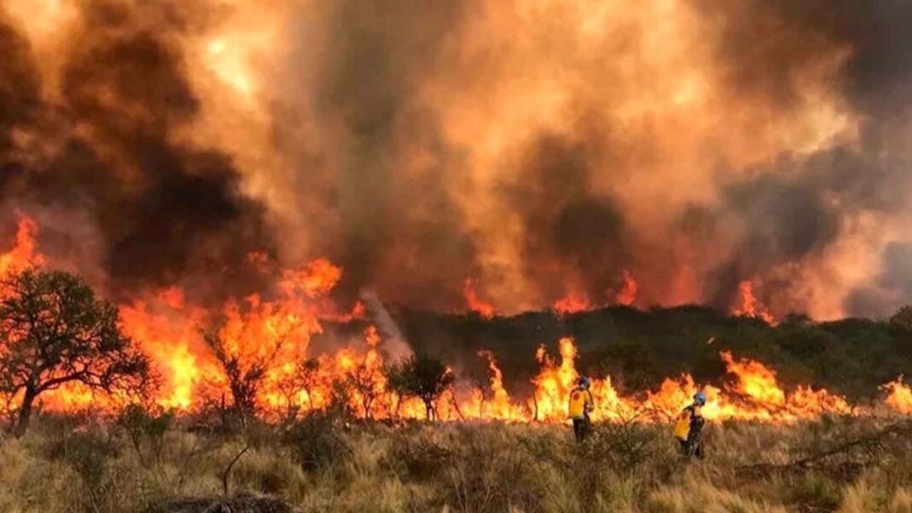 Incendios azotan Córdoba: Llaryora declaró el "estado de alerta ambiental" en la provincia