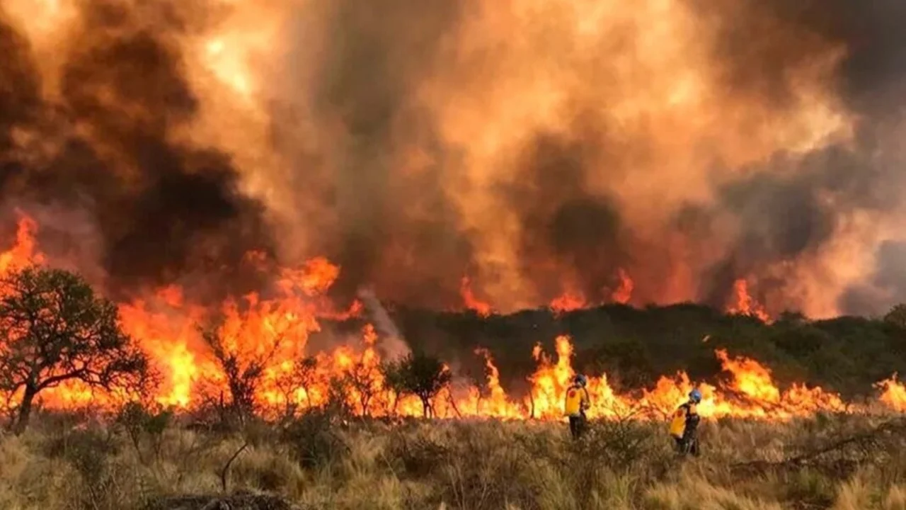 Incendios azotan Córdoba: Llaryora declaró el "estado de alerta ambiental" en la provincia