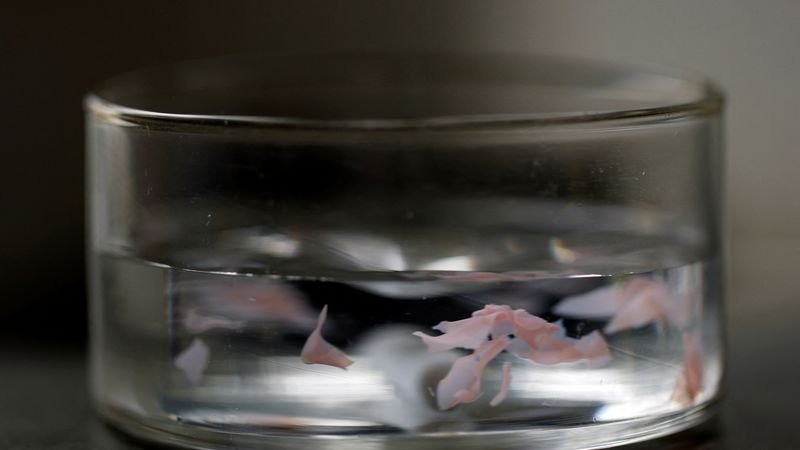 Científicos japoneses desarrollan un plástico que se disuelve en agua de mar en cuestión de horas
