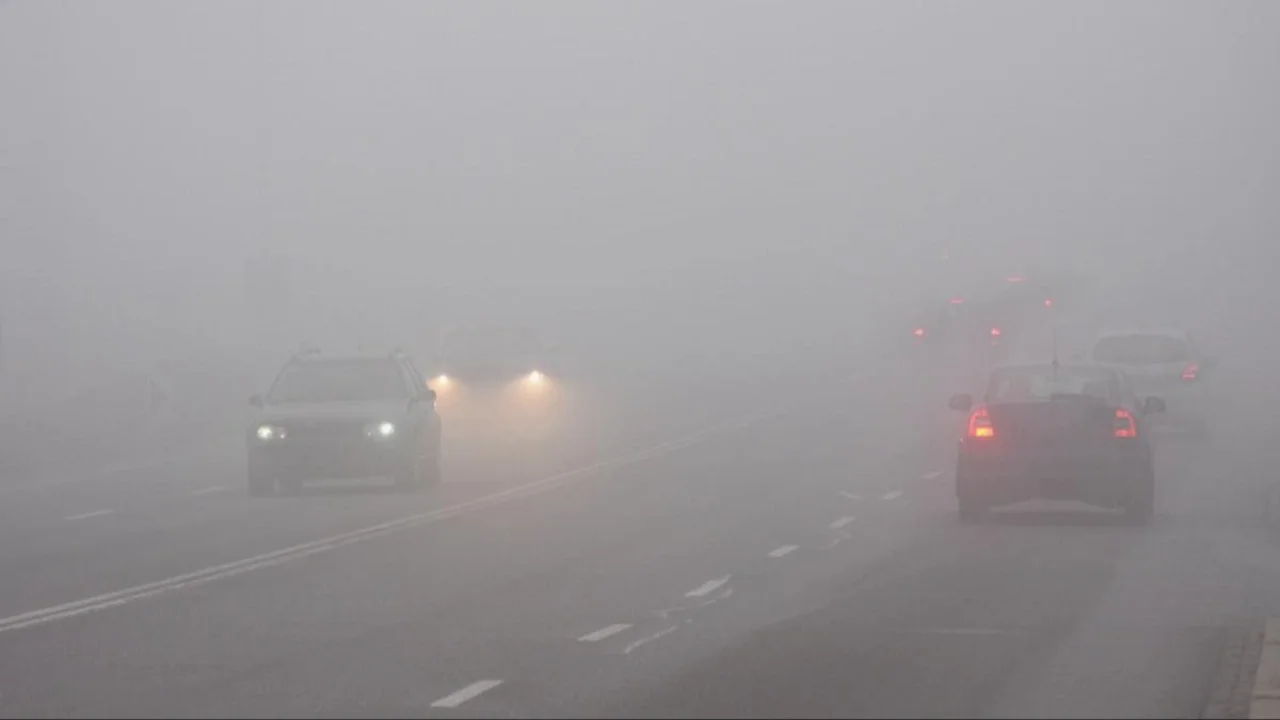 neblina, autos, luces, 