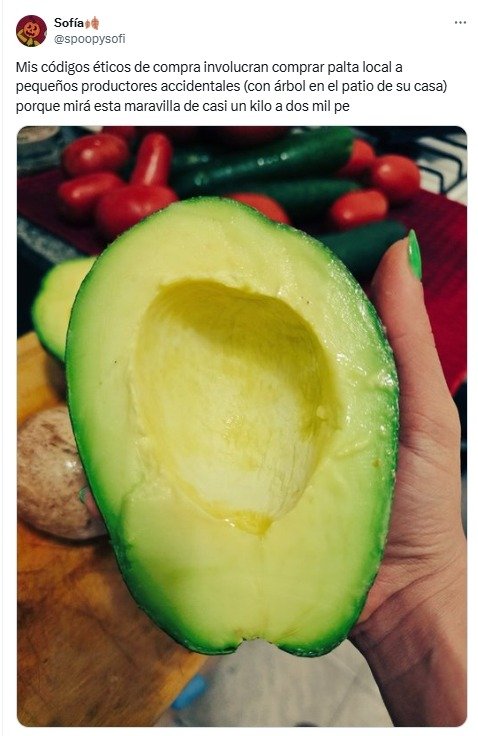 palta, fruta, comida,