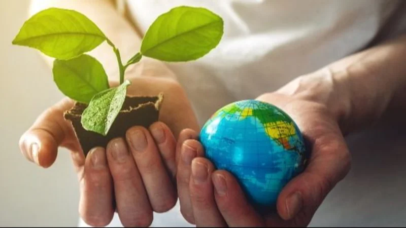 Medio Ambiente.