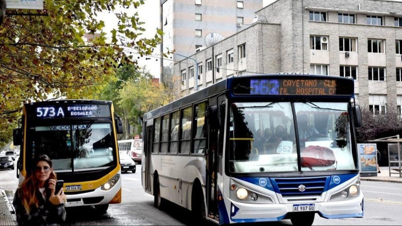 Colectivos en Mar del Plata
