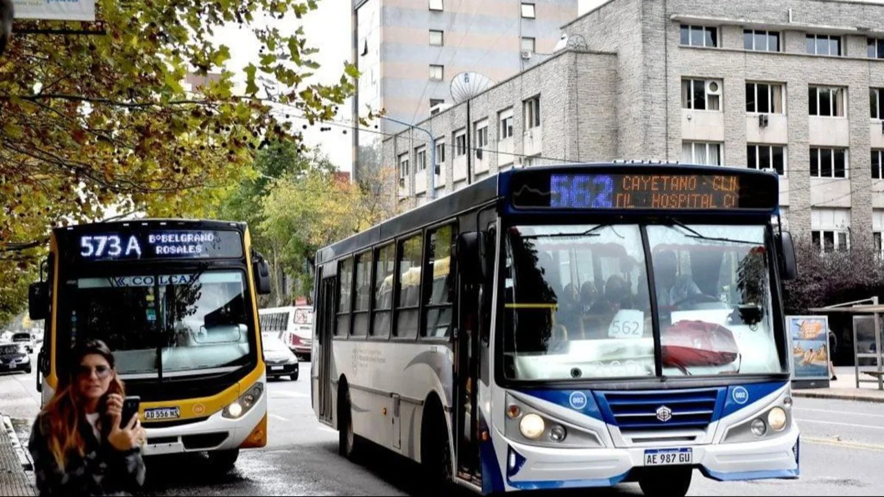 Colectivos en Mar del Plata