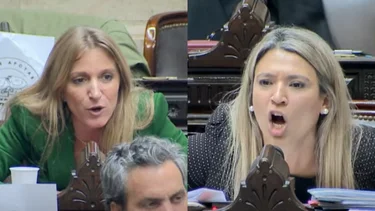 El tenso cruce entre una diputada santafesina y dos libertarias en el Congreso: "Callate vos, gato"