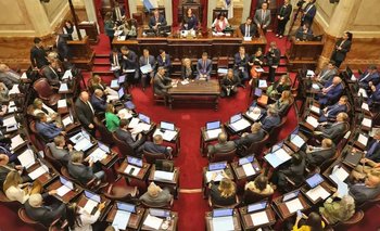 Jubilaciones: qué puede pasar en el Senado tras el triunfo en Diputados | Jubilados y pensionados