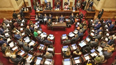 Aumento a jubilados ANSES: qué puede pasar en el Senado tras el triunfo en Diputados