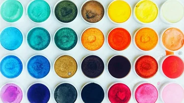 Un estudio científico reveló cuáles son los colores que prefieren las personas más inteligentes