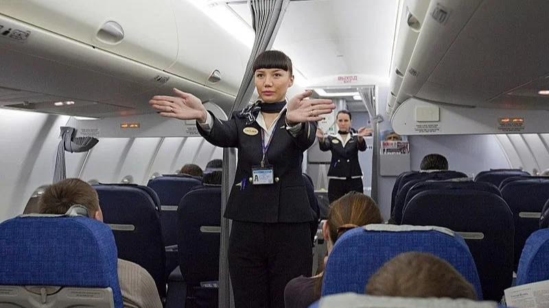vuelos, viajes, avión, azafatas