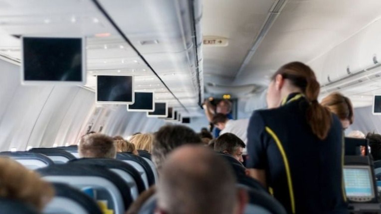 vuelos, viajes, avión, azafatas