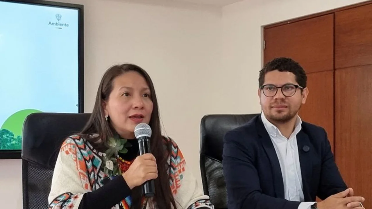 Deforestación en Colombia cae en el primer trimestre del 2025